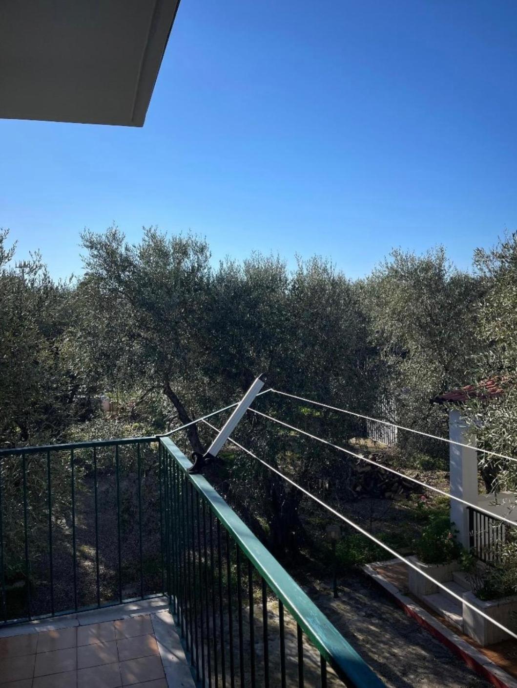 Villa Margherita Vieste Exterior foto